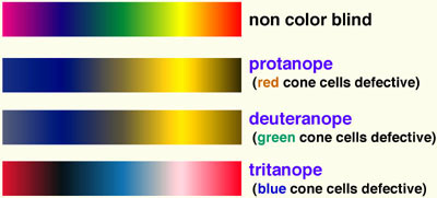ColorblindRainbow